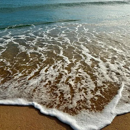 Alfarrobeira By Mtphomes Villa