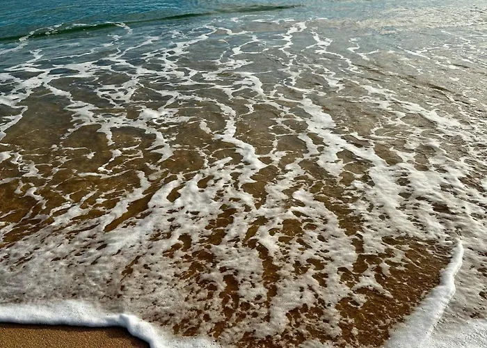 Alfarrobeira By Mtphomes Villa